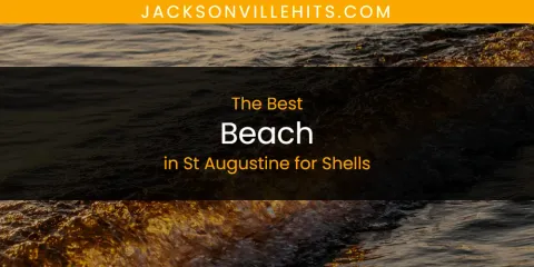 The Best Beach in St Augustine for Shells