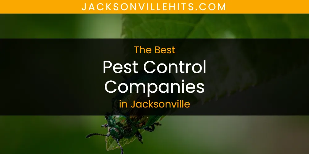 The Absolute Best Pest Control Companies in Jacksonville  [Updated 2025]
