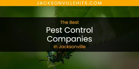 Best Pest Control Companies in Jacksonville: Ultimate Guide
