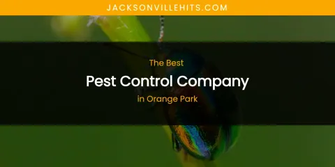 Orange Park's Best Pest Control Company