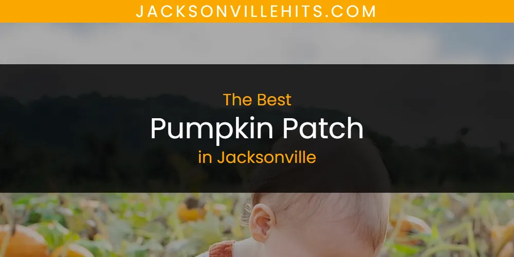 The Absolute Best Pumpkin Patch in Jacksonville  [Updated 2025]