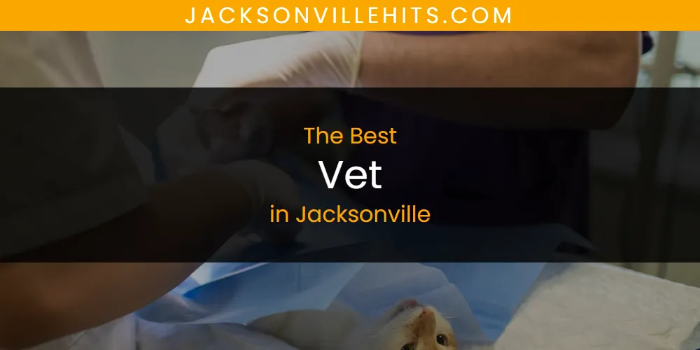 The Absolute Best Vet in Jacksonville  [Updated 2025]