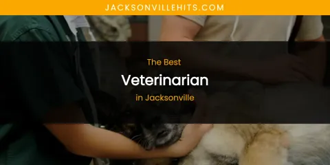 The Absolute Best Veterinarian in Jacksonville